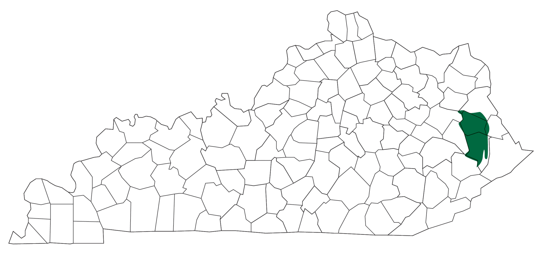 Big Sandy RECC service area map
