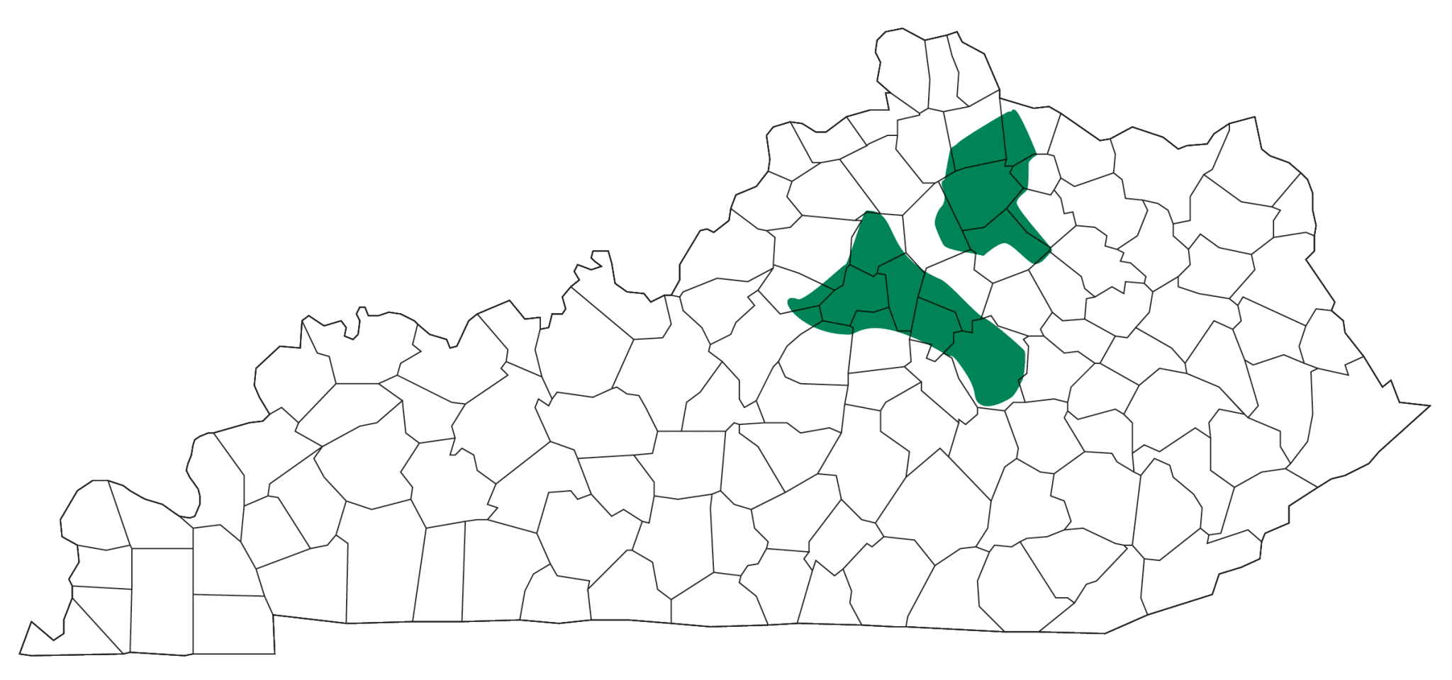 Blue Grass Energy service area map