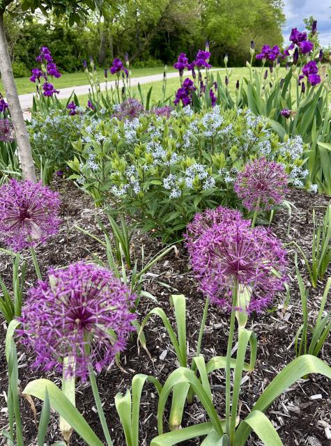 Community Garden Honors Paula Mullins